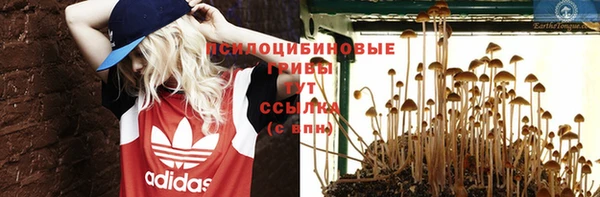 PSILOCYBIN Балахна