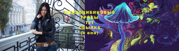 PSILOCYBIN Балахна